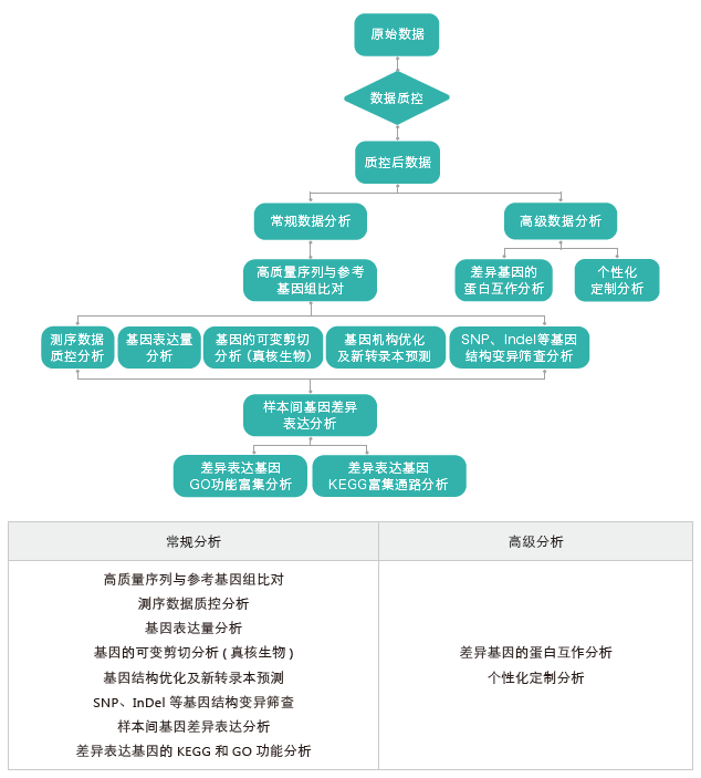 转录组测序-生信分析流程（有参）-腾博会官网基因