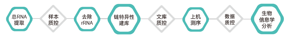 长链非编码RNA（lncRNA）测序-技术路线-腾博会官网基因