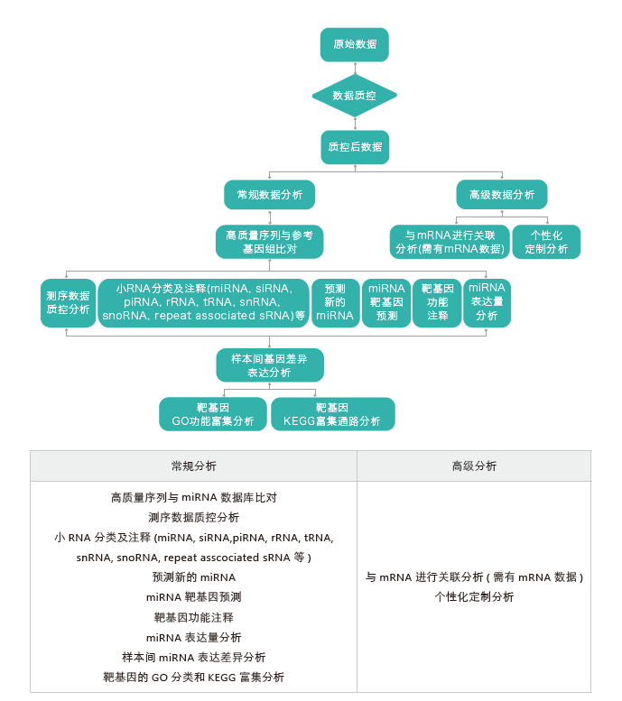 小RNA（small RNA）测序-生信分析流程-腾博会官网基因