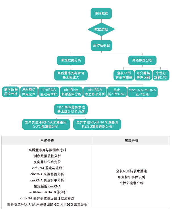 环状RNA（circRNA）测序-生信分析流程-腾博会官网基因